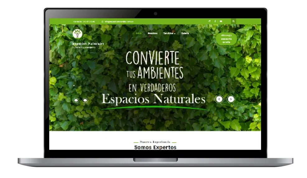 diseño de paginas web en bogota y colombia