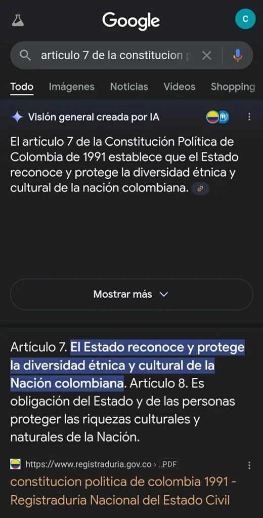 Versión mobile visión general creada con IA